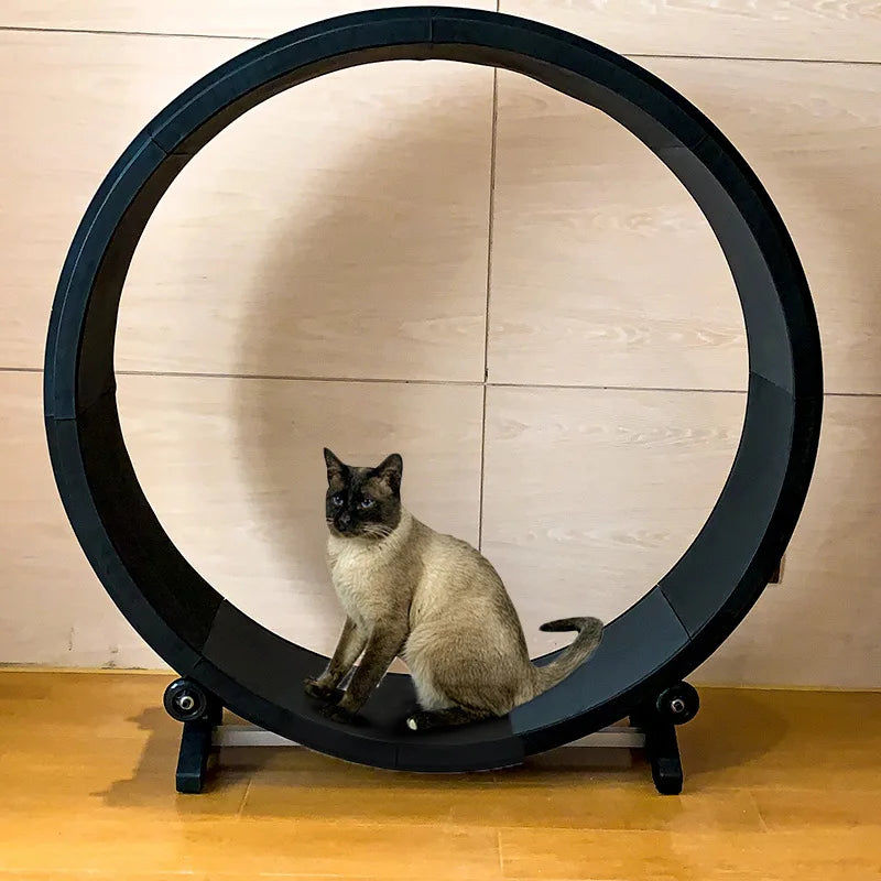 Produits pour animaux de compagnie Roue d'exercice d'intérieur pour chat Tapis de course silencieux pour animaux de compagnie Roue d'exercice amusante pour chats Tapis de course pour animaux de compagnie Fournitures de jouets pour chats Accessoires