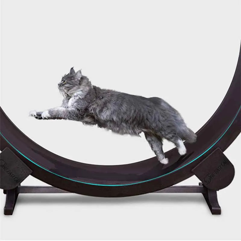 Produits pour animaux de compagnie Roue d'exercice d'intérieur pour chat Tapis de course silencieux pour animaux de compagnie Roue d'exercice amusante pour chats Tapis de course pour animaux de compagnie Fournitures de jouets pour chats Accessoires