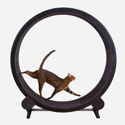 Produits pour animaux de compagnie Roue d'exercice d'intérieur pour chat Tapis de course silencieux pour animaux de compagnie Roue d'exercice amusante pour chats Tapis de course pour animaux de compagnie Fournitures de jouets pour chats Accessoires