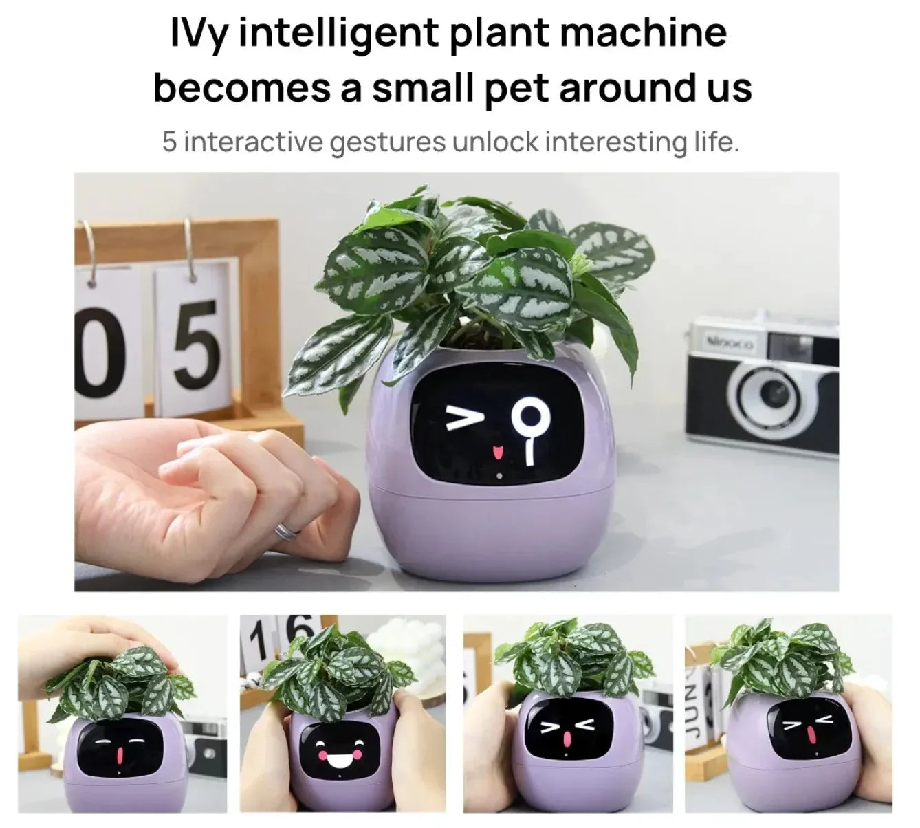 Maceta inteligente para plantas, múltiples expresiones, visualización del tiempo y el clima, configuración ordenada para escritorio, regalo, maceta inteligente para mascotas para el escritorio del jardín del hogar