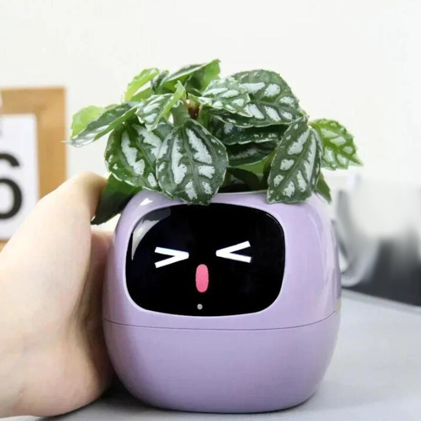 Maceta inteligente adorable con interacción de gestos para plantas de interior, para sala de estar interior, escritorio ordenado, regalo